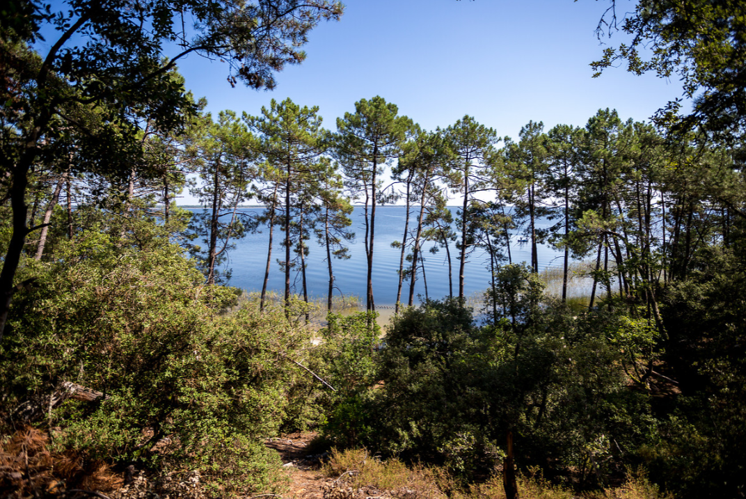 Lac d'Hourtin