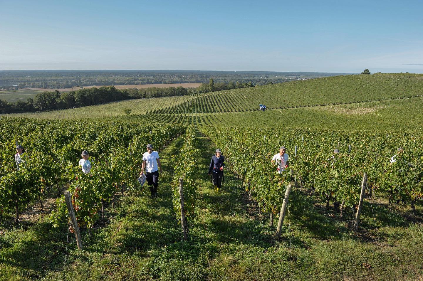 © Planète Bordeaux