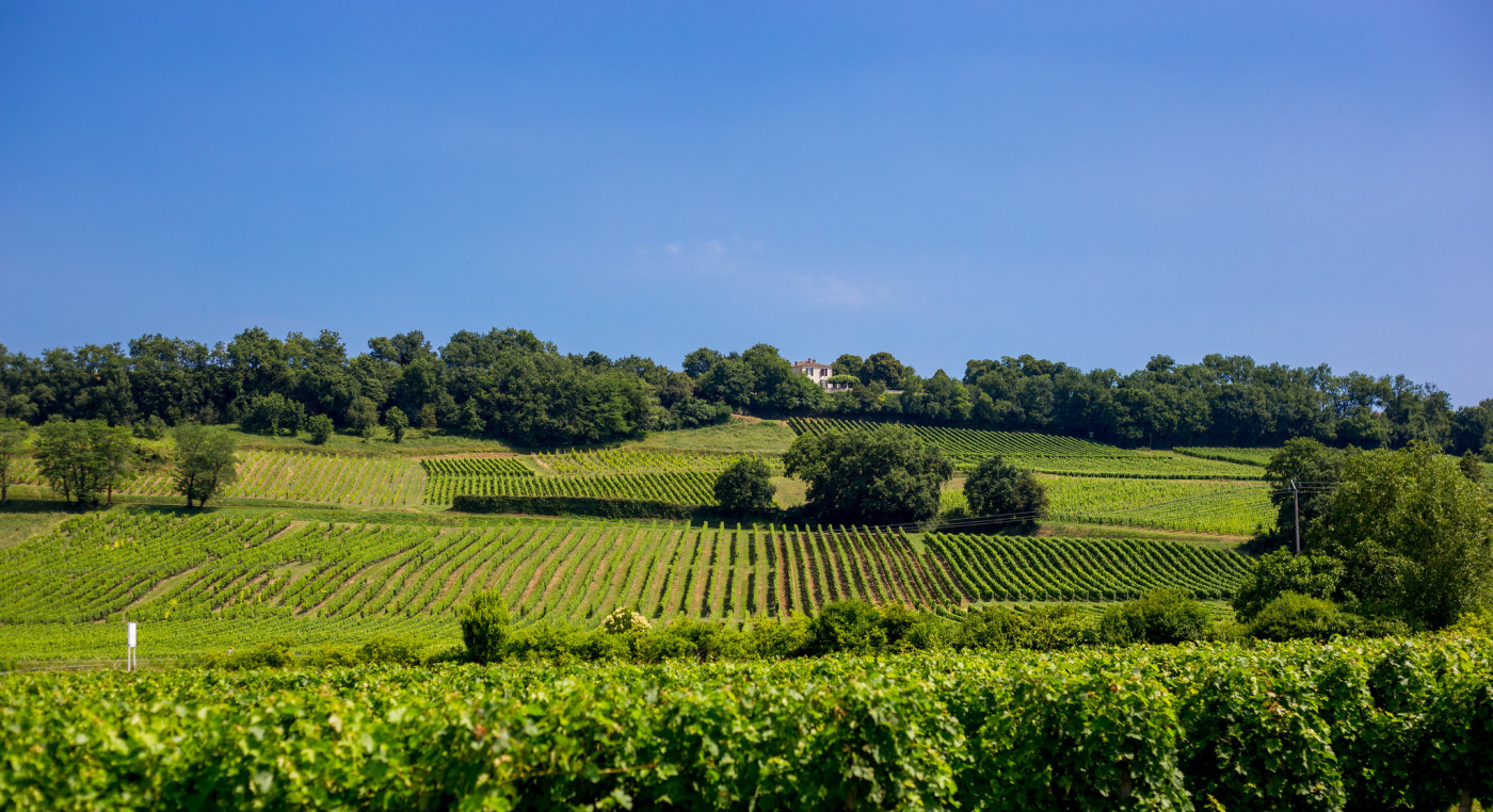 © David Remazeilles (Gironde Tourisme)