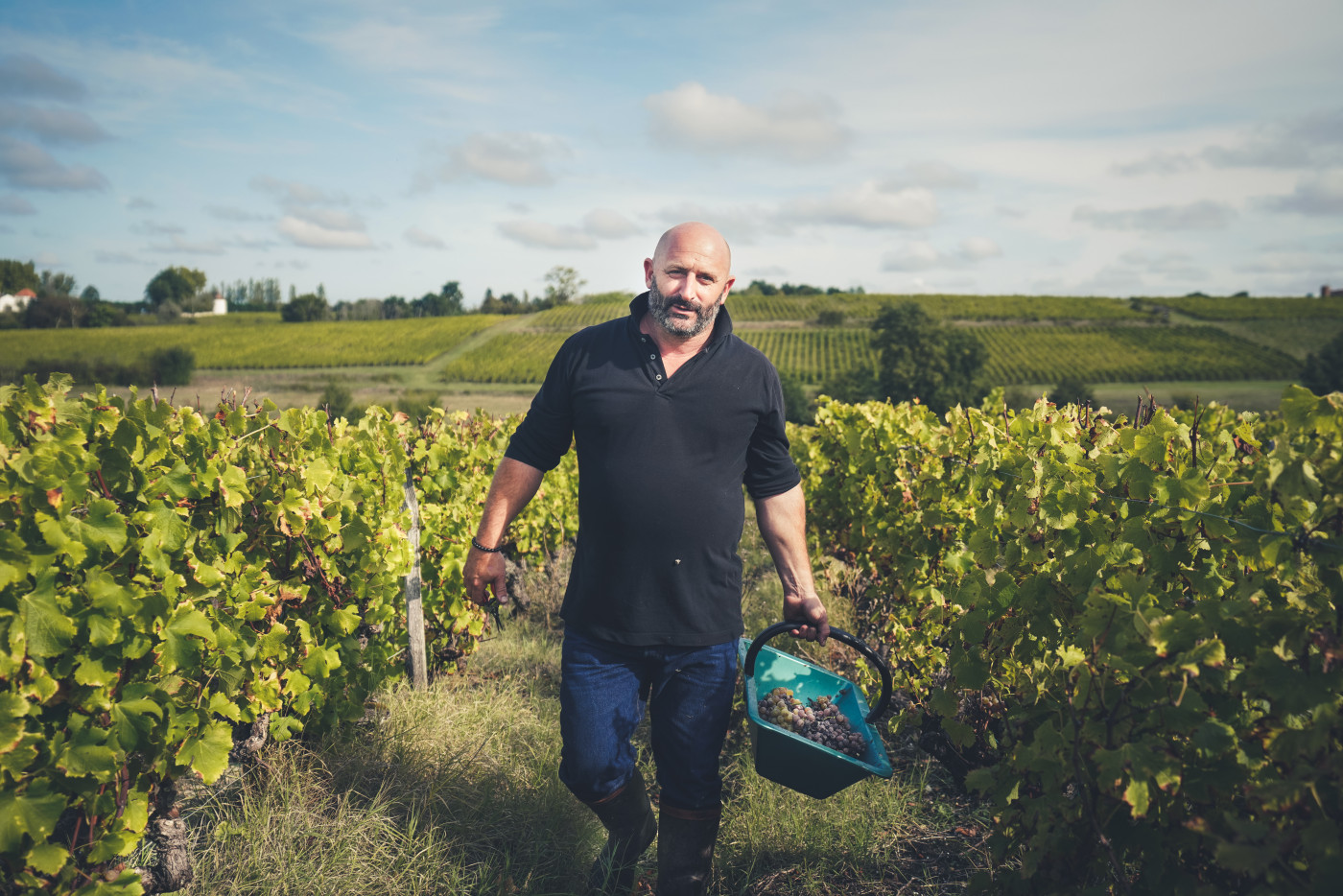 viticulteur Graves & Sauternes