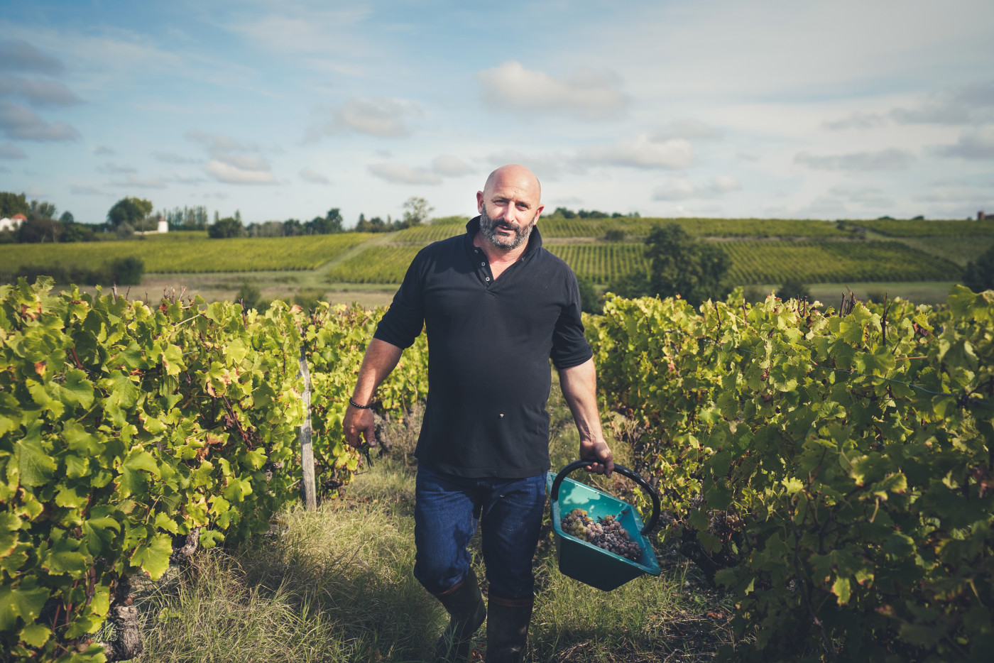 Vigneron dans le vignoble