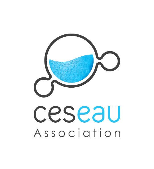 Logo ceseau