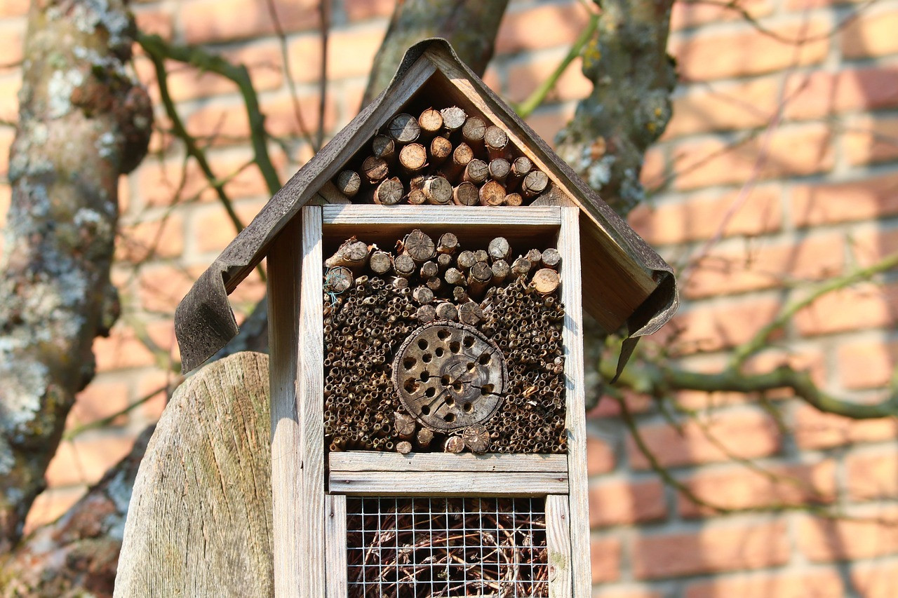 Hôtel à insectes
