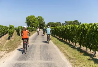 ©Vincent-Bengold À-vélo-à-Saint-Émilion©Vincent-Bengold